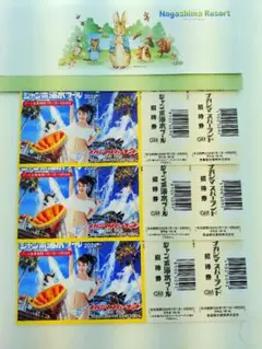 ナガシマスパーランド入場券+ジャンボ海水プール入場券おまけ付き