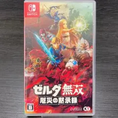 Nintendo Switch用ソフト『ゼルダ無双 厄災の黙示録』