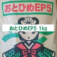 2025年最新】おとひめep5の人気アイテム - メルカリ