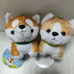 わんわん ふれんず マスコット 2種セット 柴犬 コーギー⑥