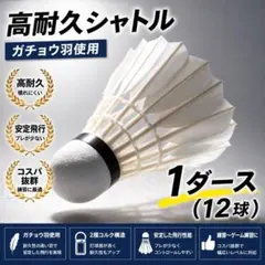 高耐久バドミントンシャトル12球 ガチョウ羽 練習用 - メルカリ