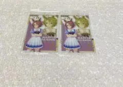 ウマ娘　ナリタタイシン　カード2枚