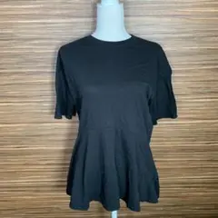 スイッチバイアーチ Tシャツ フリーサイズ 黒 ブラック 半袖 無地