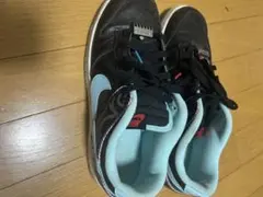 Nike ダンク　LOW レトロSE