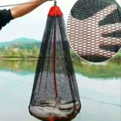 Item thumbnail for item 82c5cb0f-f0fb-497d-ba88-f0b78fa15865