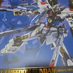 Metal　Build　ストライクフリーダムガンダム　2024のサムネイル