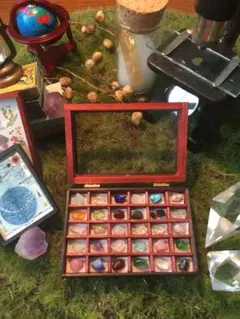 ヴィンテージ 薬品瓶 透かしほおずき 烏瓜 苔付き木 標本瓶 古道具 ヴィンテージ 薬品瓶 透かしほおずき 烏瓜 苔付き木 標本瓶