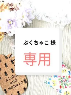 ぷくちゃこ 様　専用ページ