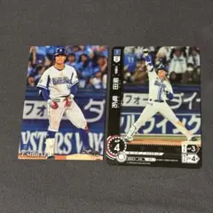 横浜DeNAベイスターズ 柴田竜拓 プロチ ドリームオーダー カード 2枚セット