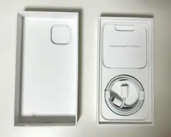 Item thumbnail for item 2f045349-e8de-4a0c-91c9-7589f42eb89f