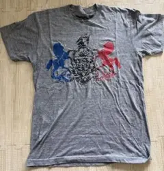 【ROCOCO】グレーTシャツＭ