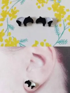 バク　ピアス