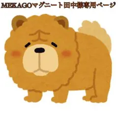 【MEKAGOマグニート田中様専用ページ】　ハンドメイド立体型マスク