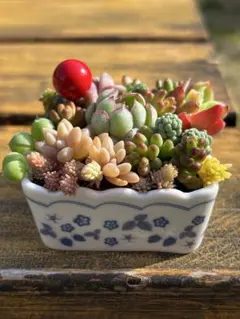 ともりん様 リクエスト 2点 まとめ商品