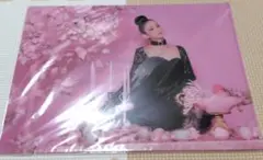 安室奈美恵×docomoコラボクリアファイル1992-2017 限定非売品 - メルカリ
