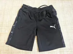 PUMA キッズ ハーフパンツ 140cm