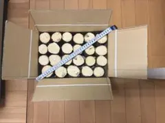 Item thumbnail for item 874e34f8-7084-4a7a-acf8-32c0b9f3f83a