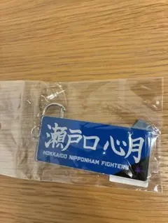 限定品 乃木坂46×ファイターズ 瀬戸口心月 キーホルダーのサムネイル