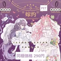 ✩のこり2✩J956＃肆意飞扬(PET)当季限定切り売り海外人物マステ