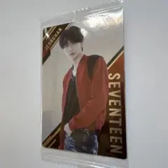 SEVENTEEN JEONGHAN ウエハースカード
