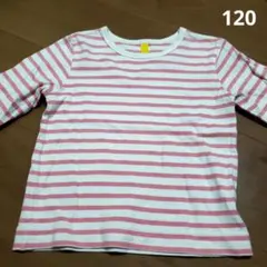 Sunny landscape ボーダー 長袖 カットソー 120