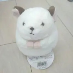 ぽちゃぬい チンチラ ぬいぐるみのサムネイル
