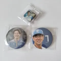 2025年最新】日本ハム ピンバッジの人気アイテム - メルカリ