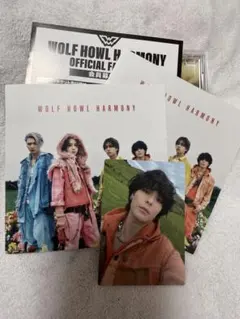 WOLFHOWLHARMONY ココニイル PLEASE