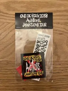 ONE OK ROCK 2017 Ambitions ピンズ Aセット - メルカリ