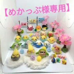 羊毛フェルト まんまるオカメインコちゃん ルチノー マット付き