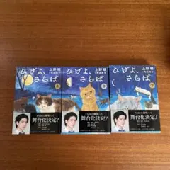 値下げ】【限定版BOX】貸本版•河童の三平 水木しげる 小学館