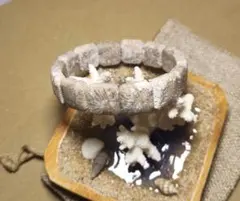 Item thumbnail for item 8f0c1e93-f495-4e44-8fcb-9996e3a62ff5