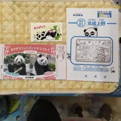 Item thumbnail for item a6cd20d6-9e8b-4344-a8f5-fbde29c6fc22