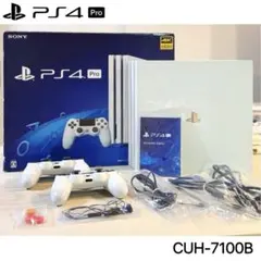 【早い者勝ち】PlayStation 4 Pro 1TB 本体 付属品全て有