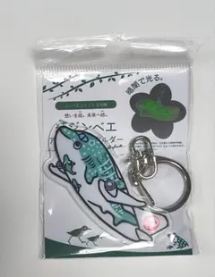 JTA 機内販売限定 結ジンベエジェット 光るアクリルキーホルダー JALのサムネイル