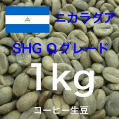 【コーヒー生豆】ニカラグア産　SHG Qグレード 1kgのサムネイル