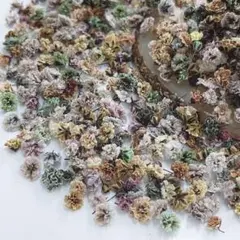 .*Klein*.⚘クレイン様 リクエスト 3点 まとめ商品