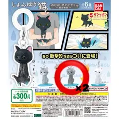 しょんぼり猫 めじるしアクセサリー 長毛B×2個