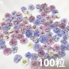 (05)かすみ草ドライフラワー100粒