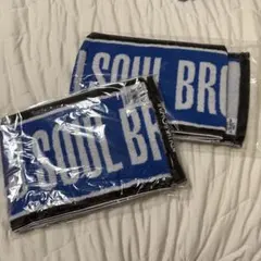 三代目JSB PERFECT LIVE マフラータオル