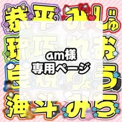 am様 専用ページ 1日まで