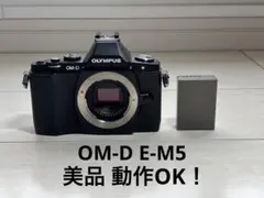2025年最新】om-d e-m5 ジャンクの人気アイテム - メルカリ