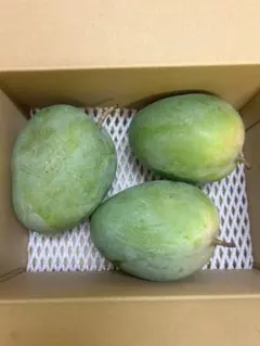 じー【2箱まとめ割7980円❗️】沖縄産 キーツマンゴー 60 63 じー様 専用【2箱まとめ割7980円❗️】沖縄産 キーツマンゴー 60 63