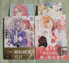 思い上がりも程々に。　地味令嬢アメリアの幸せな婚約　１