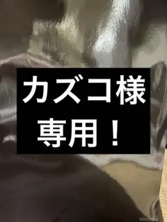 カズコ様 リクエスト 2点 まとめ商品