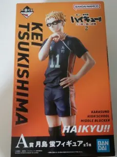 ハイキュー!! ゴミ捨て場の決戦2 一番くじフィギュア A賞月島蛍