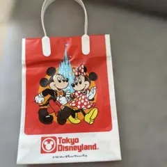 東京ディズニーランド ミッキー ミニー ミニバッグ
