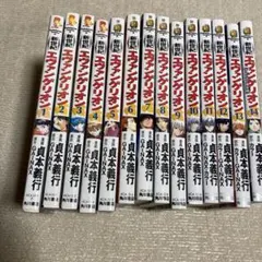 新世紀エヴァンゲリオン 1〜14巻 全巻セット 漫画