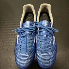 ミズノモナルシーダネオ