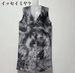 イッセイミヤケ　プリーツベスト　サイズＭ HOMME PLISSE ISSEY MIYAKE オム プリッセ イッセイ ミヤケ BASICS
